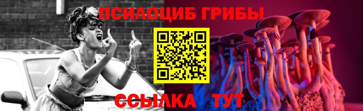 Сердобск  Псилоцибиновые грибы Magic Shrooms  Вход с VPN 